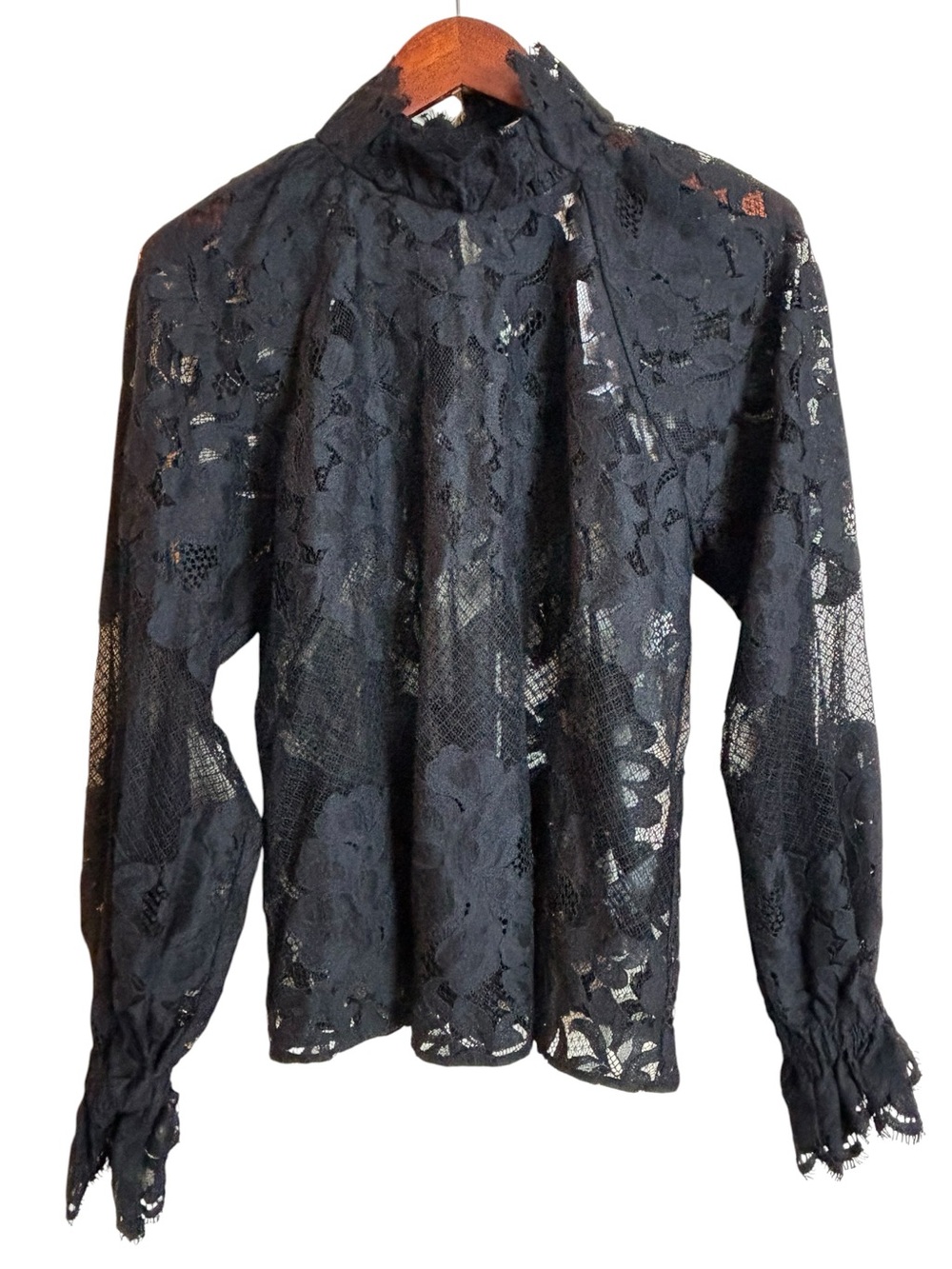 NEW H & M High Neck Black Lace Ruffle Victorian Whimsigoth Semi Sheer Blouse Top